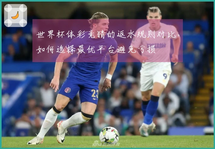 世界杯体彩竞猜的返水规则对比，如何选择最优平台避免亏损