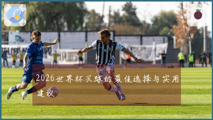 2026世界杯买球的最佳选择与实用建议