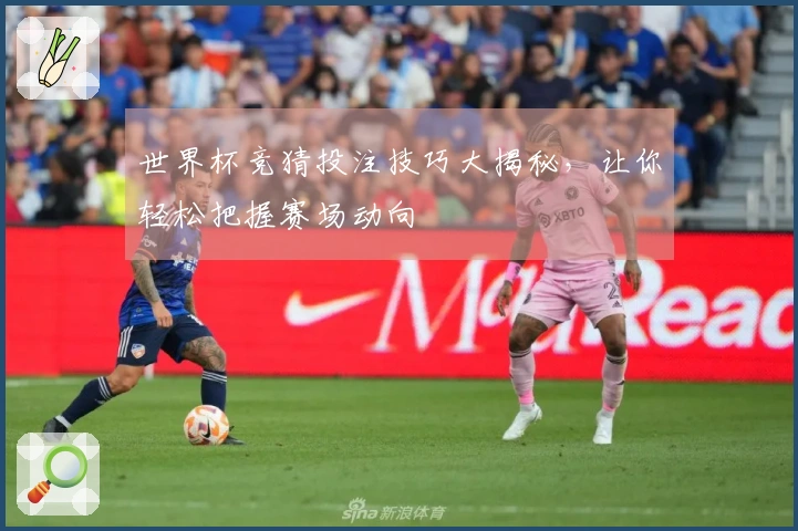 世界杯竞猜投注技巧大揭秘，让你轻松把握赛场动向