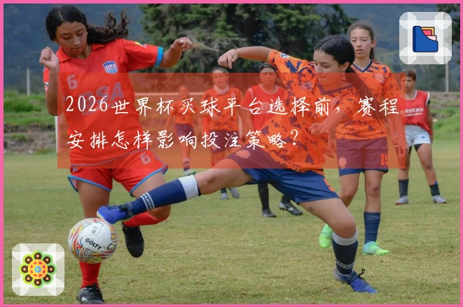 2026世界杯买球平台选择前，赛程安排怎样影响投注策略？