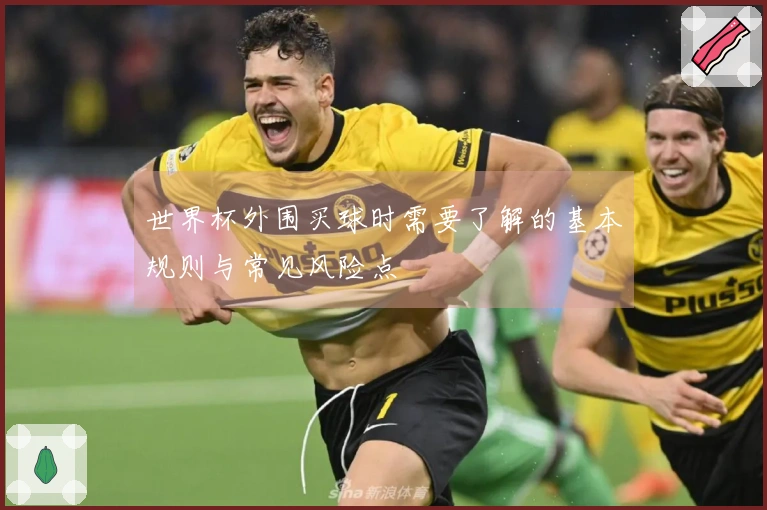 世界杯外围买球时需要了解的基本规则与常见风险点