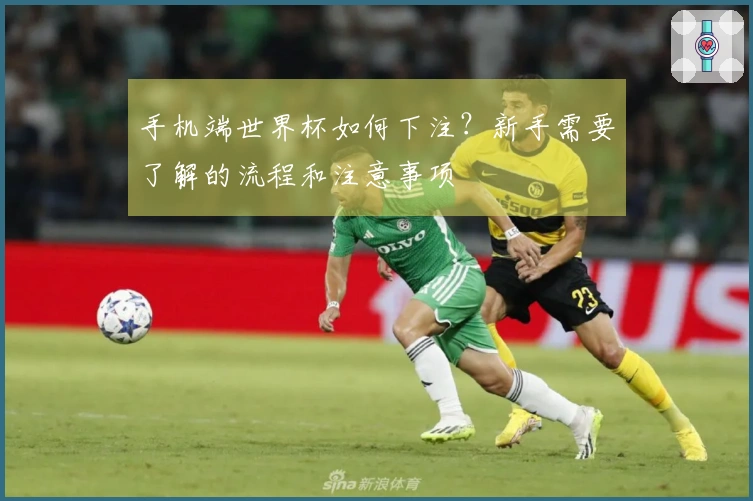 手机端世界杯如何下注？新手需要了解的流程和注意事项
