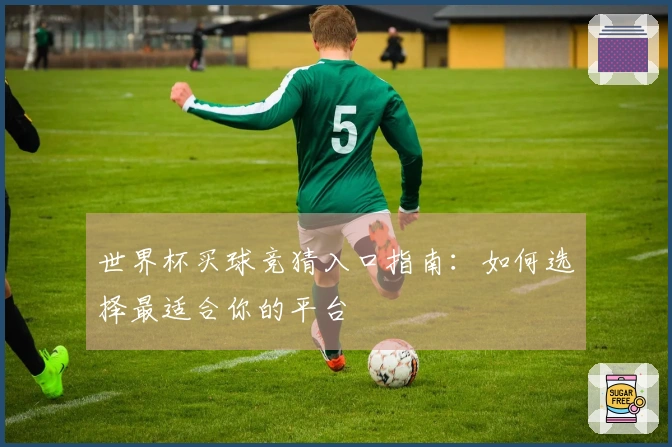 世界杯买球竞猜入口指南：如何选择最适合你的平台